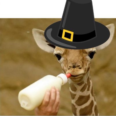 TheyTiltBak's profile picture. map  ≠  terrain