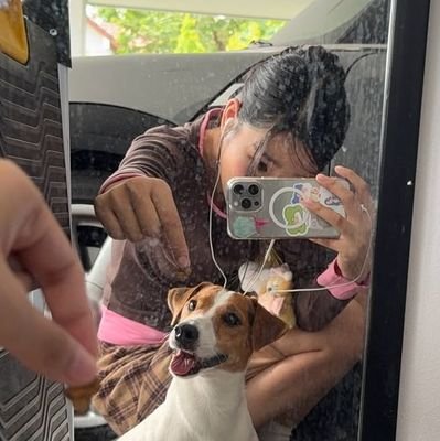 sanseoya's profile picture. ©this acc contain fangirling(⁠๑⁠˙⁠❥⁠˙⁠๑⁠) she/her