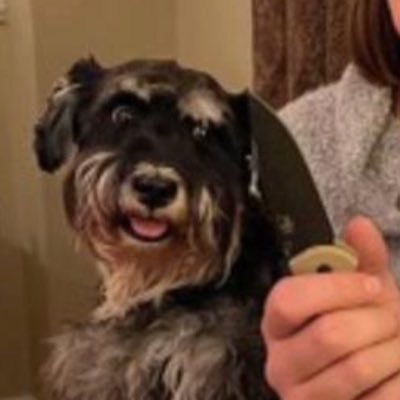 TheDudeDood's profile picture. Where’s my rug? I invest in Tesla, junior miners (gold, silver, copper, uranium), nuclear, Ethereum/BMNR