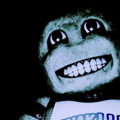 ruuenarii's profile picture. 19 y.o. | she/her