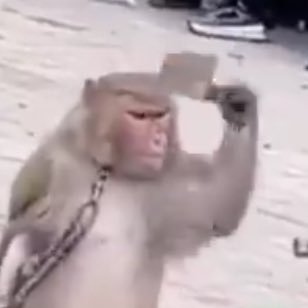 Ash_Roughlar's profile picture. High-End Speaker Design