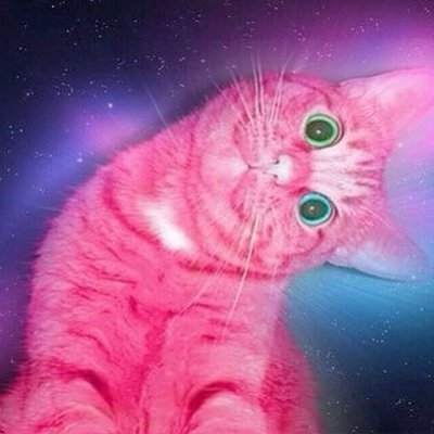 serenatooswaggy's profile picture. Hiii im Serena ♡♡
Wlw I 💕 mah gf 
Shtwt, Drugtwt, Edtwt
15+ !!
Diagnosed bpd n depression 
HW: 34bmi. CW:27bmi. GW: 17bmi.