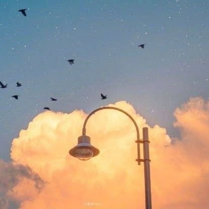 andreho21's profile picture. Andre • 24 • 21/11/2002