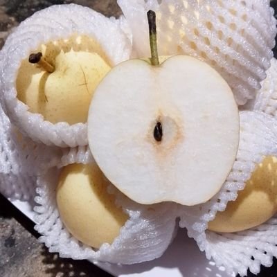 sriestoree's profile picture. 