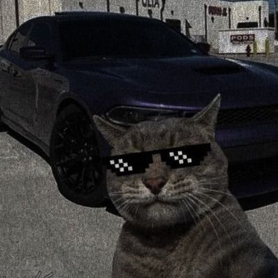 nachiwa11's profile picture. I'M TRADING, LEAVE ME ALONE🎮💡📊 #WAGMI