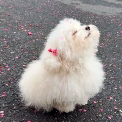 namonamo_naya's profile picture. 26 ∥ ENTJ ∥ 日常をうるさく垂れ流し⋆.˚⊹⁺出会い✖️