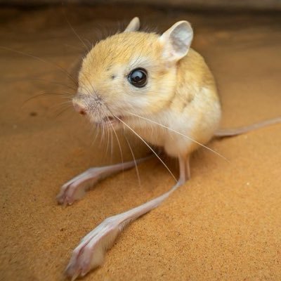 emc_exe's profile picture. 🔞 19 practically a fossil, I like video game and drawing 👍 anxious, autistic, and worst of all, British