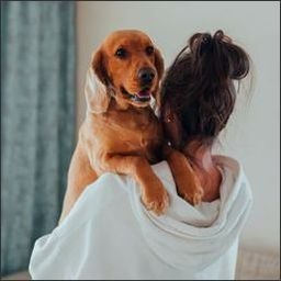 Irpatui3496490's profile picture. 