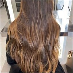 Mweapi6351489's profile picture. 