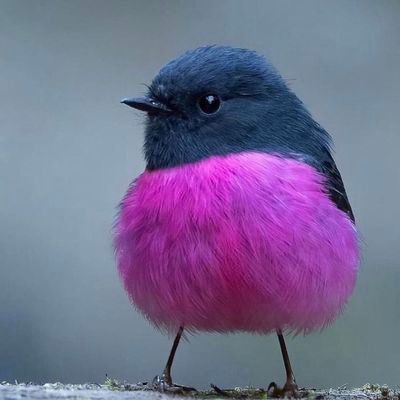 misakiooka29436's profile picture. 