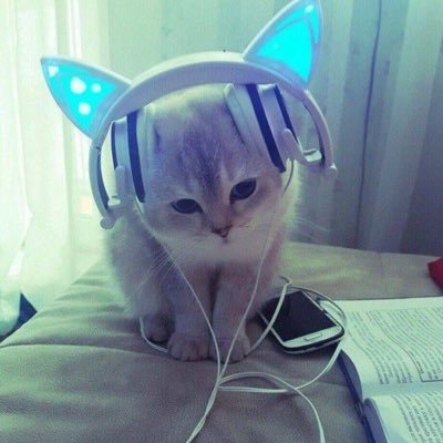 semii33348's profile picture. 