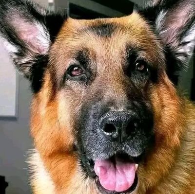 Johnreardo24173's profile picture. 