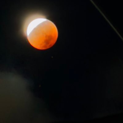 mgerjLzb8Z10954's profile picture. 