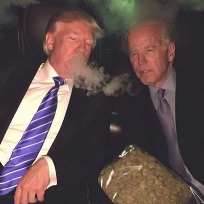 Averylazer's profile picture. 