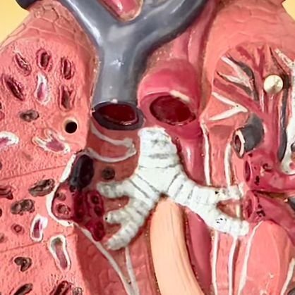 farmalaiz's profile picture. 