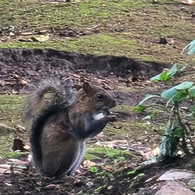 Ahgassi_'s profile picture. 