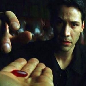 RedPillMarkets's profile picture. Statistically Based Quantitative Trader.
Coder. Memes. Automation. Shitposts. AI.
Technical Analysis. Markets. #bitcoin
I'm not a bull or bear. I'm a goose. 🪿