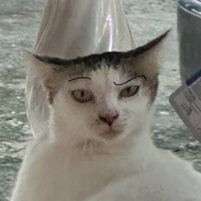 goodcatdontcry's profile picture. 𝐹𝑎𝑛 𝑎𝑐𝑐𝑜𝑢𝑛𝑡 • 𝑨𝒏𝒕𝒉𝒐𝒑𝒉𝒊𝒍𝒆 ✿ • 2MEOW ᗢᗢ • Min Yoongi • #HEARTchuthiwat • #mommeownn •