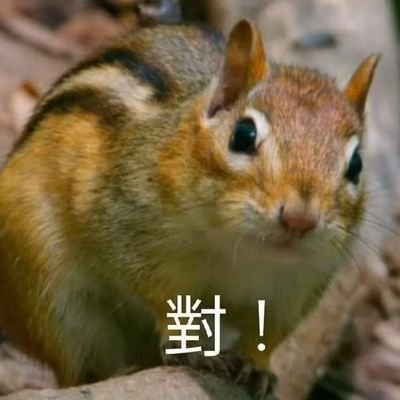 LoZhewe25259's profile picture. 