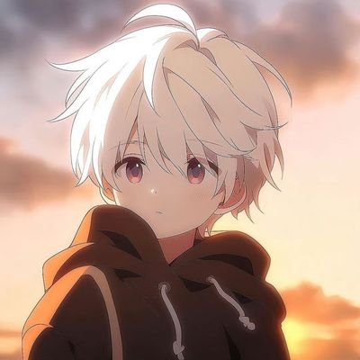 utungwebster264's profile picture. 