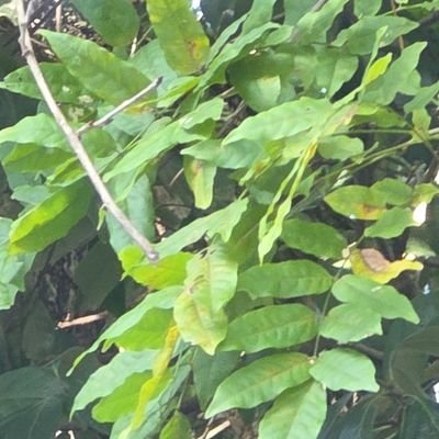 Wyatt572552's profile picture. 