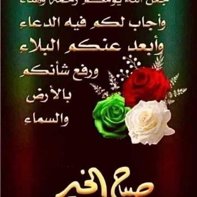 mmdlsyd319682's profile picture. 