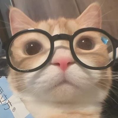 viewporting's profile picture. @roblox ugc creator