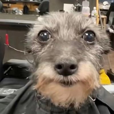 jA_7fxj's profile picture. I just recently got this acc my other one got hacked but I am down to make any new friends