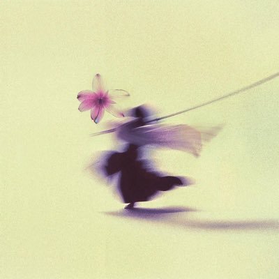 bqxes's profile picture. 