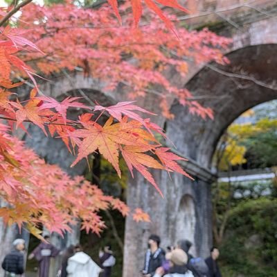 non_linear_Schr's profile picture. 京大基研凝縮系D2の三浦 憂(うれい)です。
気になった文献をメモとして載せます。