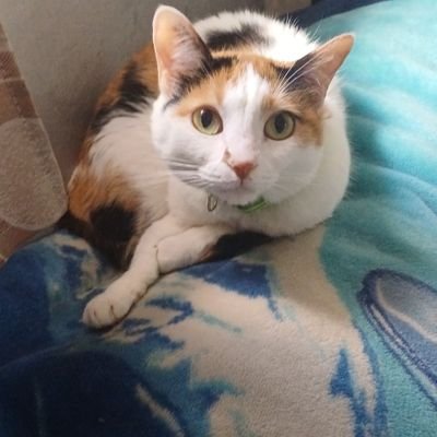 Tatiana_Lopez41's profile picture. 