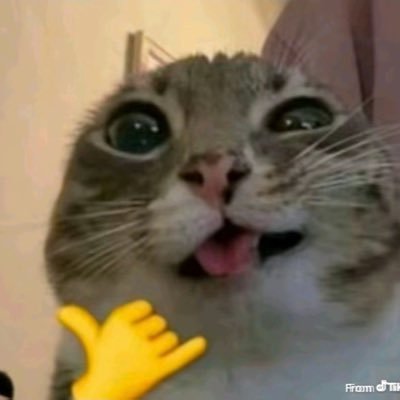 wetmulchart's profile picture. my (f)art account.