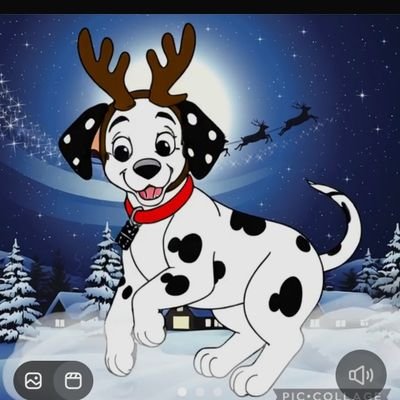 DominoDipper102's profile picture. 