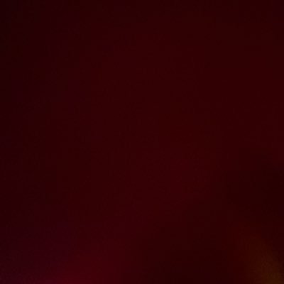 tydmomo's profile picture. 