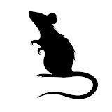 JollyRatStudios's profile picture. Jollyrat is a new indie game development studio dedicated to crafting immersive, atmospheric experiences that linger in players minds long after the screen goes