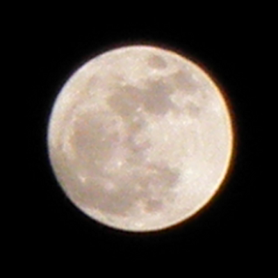 magmagdolce's profile picture. ＼＼\\└('ω')」//／／