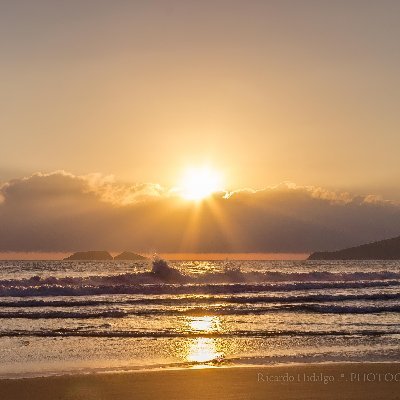 exe_error_404's profile picture. Deo Perennis
Αιωνιου Θεού
אל עולם

https://t.co/iCz5VfAyp6

https://t.co/rURMgf3qRF

https://t.co/Bp2VJVkA6i

Α Πετρο 2:2