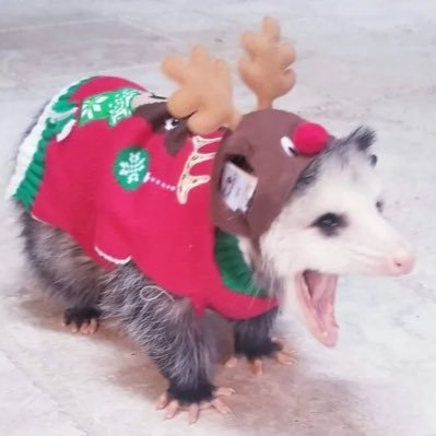 glitteryslut's profile picture. altanera, preciosa y orgullosa.