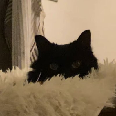 LambertHal48326's profile picture. 