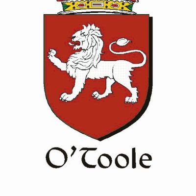 FinnConorOToole's profile picture. 