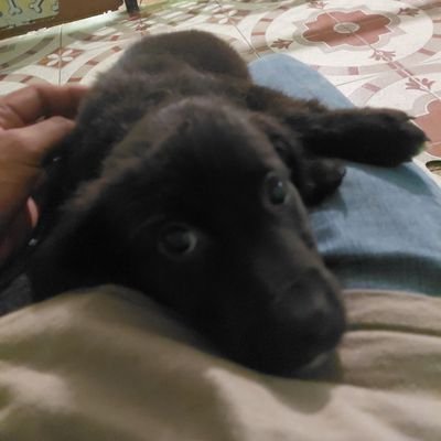 sergioblues123's profile picture. 