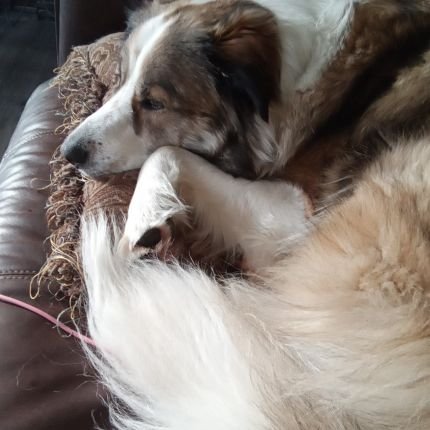 Nix378617034's profile picture. TRUMP  KEEP GOING LETS GET BACK TO BASICS  OF LIFE,KEEP WORKING ON GETTING RID OFF THESE PEOPLE  WHO ARE SO CORRUPT THEY THINK THE PEOPLE ARE THERE'S TO CONTROL