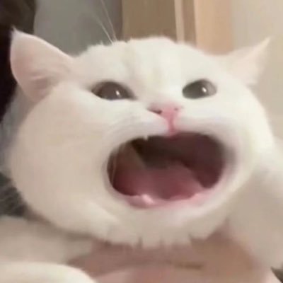 gkemahemON's profile picture. 가비지타임 윈브레 나히아 하이큐 등등 이거저거해요