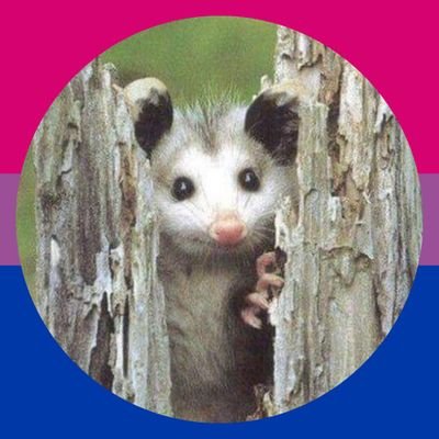 Rebeccinhaaa's profile picture. RJ 🇧🇷 | Mestranda em Letras Clássicas - UFRJ 🏛 | Faladora de merda e prof. de Grego Antigo 🇬🇷 | Epica, Evanescence, Shakira, Xena, gambás, crochê e VASCO ✠