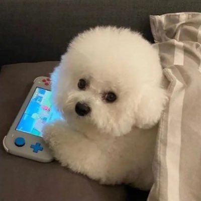 anjindn's profile picture. 19 Radiant 593rr