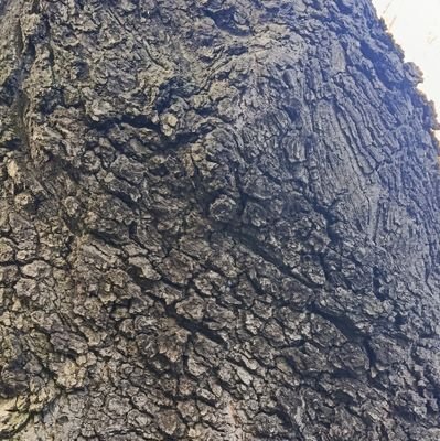 ZumeinxIlo0's profile picture. 💙💙💙