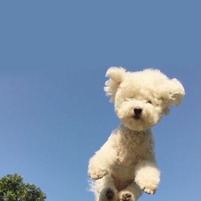 sbvevcr's profile picture. 