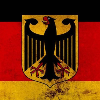 BobiNo1987's profile picture. 🇺🇸💙🇩🇪 Patriot 🇩🇪💙 🇺🇸🫸🚩💚📯
