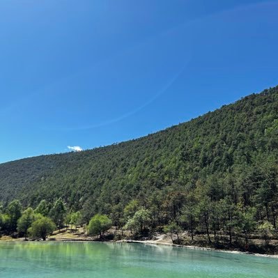 muxianliu's profile picture. 