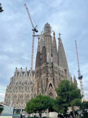 mio0310_83's profile picture. 天文・気象・地震・植物（多肉植物・サボテン・花・木etc）・動物・鉱石・地層・考古学・環境・欧米の歴史文化や食・風景・美術全般・建築・インテリア・アンティーク小物・硝子・ステンドグラス・医療健康etcのポスト　
徳島のソースのリポストが多めですが、関東在住で、出身でもありません🤭推し関連で⋯🍋🌾